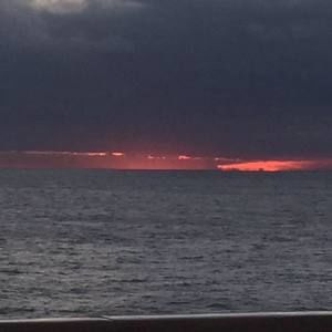 Meet your Posher, Lyndie